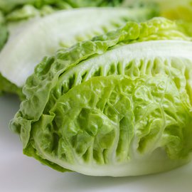 Romana-Salat - Little Gem