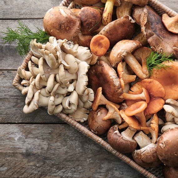 Pilze - schnelle, einfache und gesunde Rezepte Gesund essen