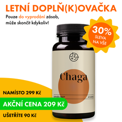 Chaga