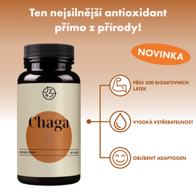 Chaga