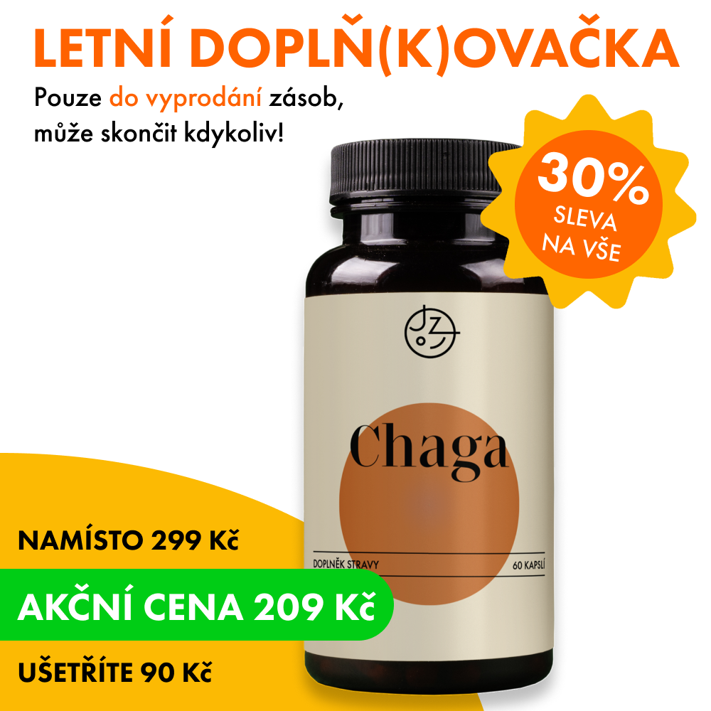 Chaga