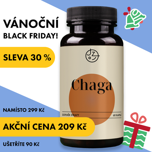 Chaga