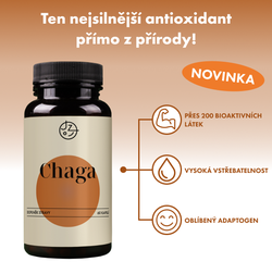 Chaga