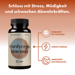 Cordyceps sinensis – 90 Kapseln