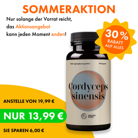 Cordyceps sinensis – 90 Kapseln