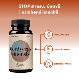 Cordyceps sinensis