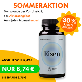 Eisen – 90 Kapseln