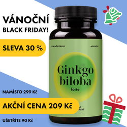 Ginkgo biloba FORTE