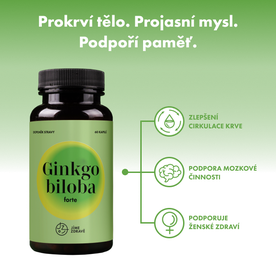 Ginkgo biloba FORTE