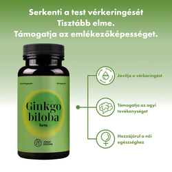 Ginkgo biloba FORTE