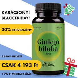 Ginkgo biloba FORTE