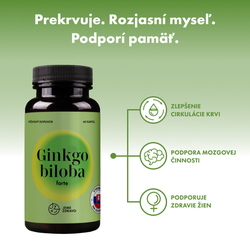 Ginkgo biloba FORTE