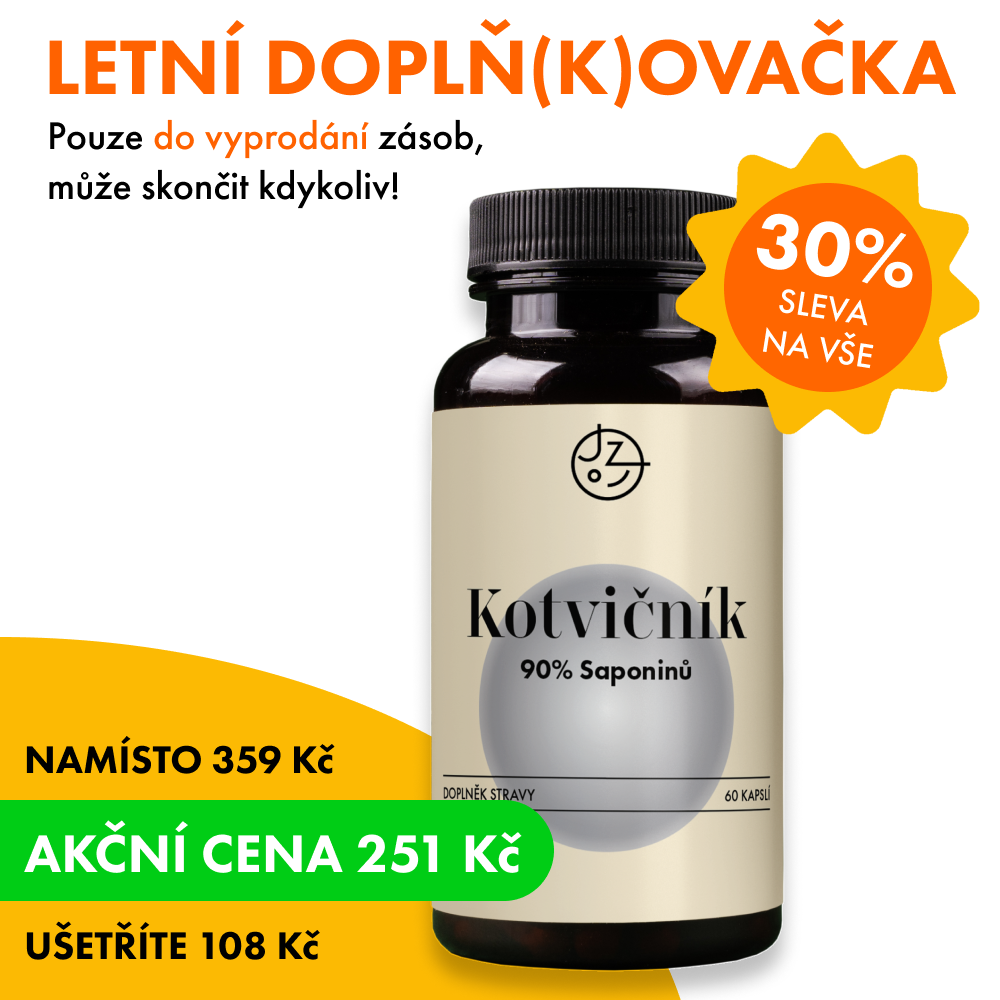 Kotvičník zemní (Tribulus terrestris)