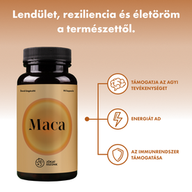 Maca