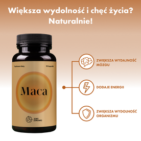 Maca