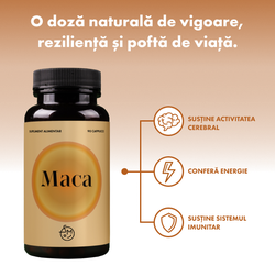 Maca