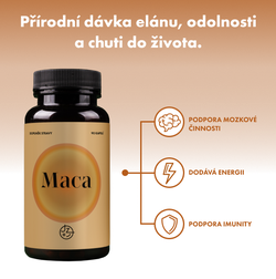 Maca