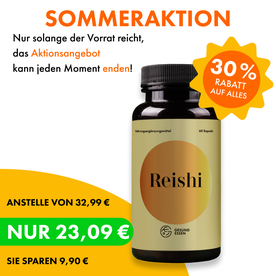 Reishi Premium Pilz-Extrakt – 120 Kapseln, hochdosiert