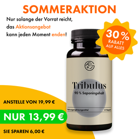 Tribulus terrestris (Erd-Burzeldorn) – 60 Kapseln, vegan