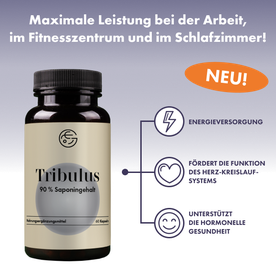 Tribulus terrestris (Erd-Burzeldorn) – 60 Kapseln, vegan