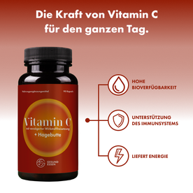 Vitamin C mit verzögerter Wirkstofffreisetzung und Hagebuttenextrakt – 90 Tabletten, vegan