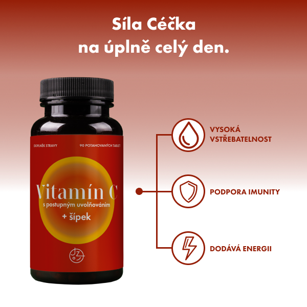 Vitamín C s postupným uvolňováním a šípkovým extraktem