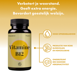 Vitamine B12